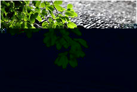 環(huán)境空氣降水中陽(yáng)離子（Na+、NH4+、K+、Mg2+、Ca2+）的測(cè)定離子色譜法