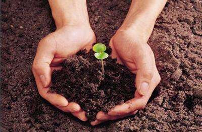 土壤和沉積物 氨基甲酸酯類農(nóng)藥的測定 高效液相色譜-三重四極桿質(zhì)譜法