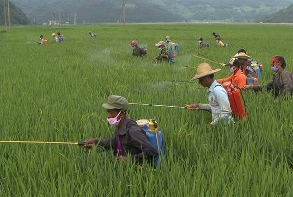 固體廢物 有機磷類和擬除蟲菊酯類等 47 種農(nóng)藥的測定 氣相色譜-質(zhì)譜法