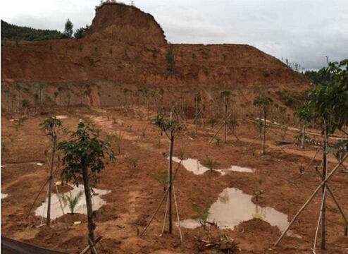 固體廢物 有機(jī)氯農(nóng)藥的測(cè)定 氣相色譜-質(zhì)譜法