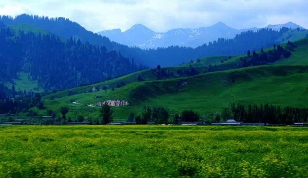 環(huán)境空氣 無(wú)機(jī)有害氣體的應(yīng)急監(jiān)測(cè) 便攜式傅里葉紅外儀法