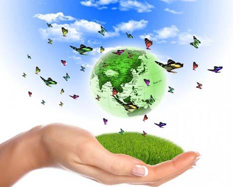 環(huán)境二噁英類(lèi)監(jiān)測(cè)技術(shù)規(guī)范