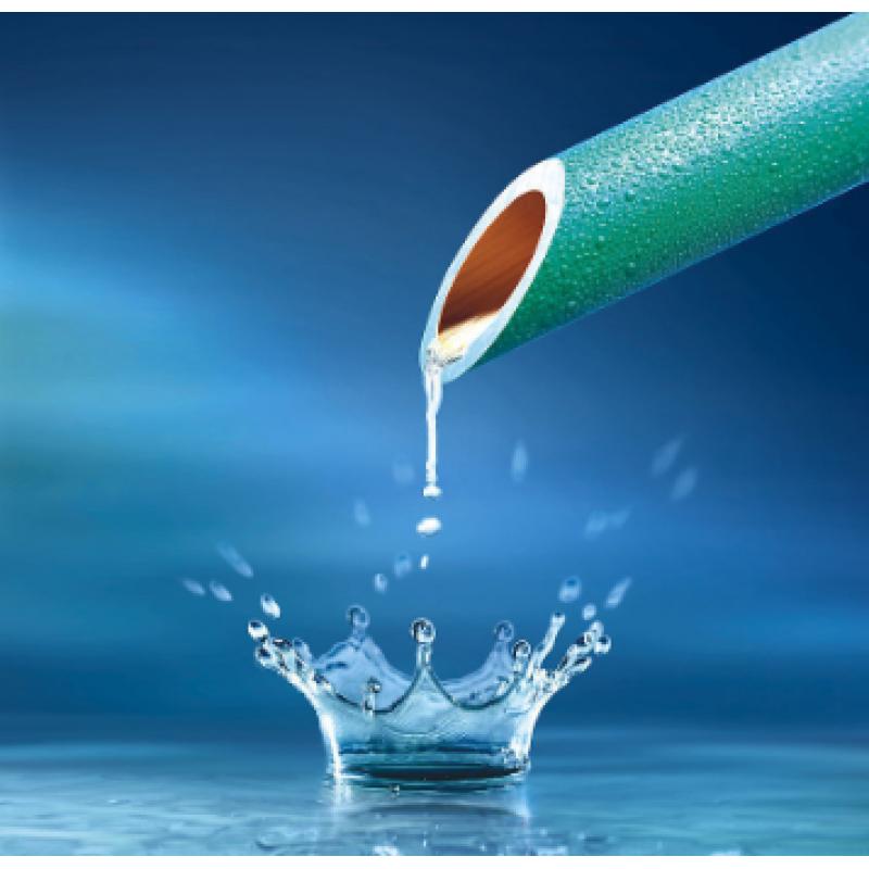 水質(zhì) 氯酸鹽、亞氯酸鹽、溴酸鹽、二氯乙酸和三氯乙酸的測定 離子色譜法