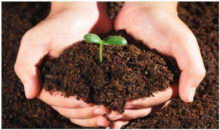 建設(shè)用地土壤污染狀況調(diào)查 技術(shù)導(dǎo)則